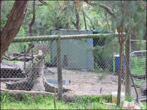 Intermediate enclosure with burrow