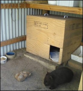 inside nursery shed